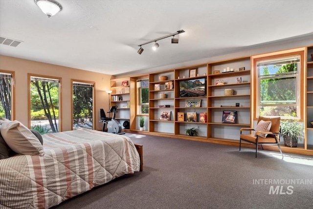 3752 Lancer Way, Boise, ID 83713 - carpeted bedroom with multiple windows and track lighting