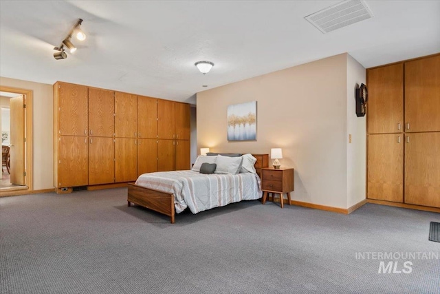 3752 Lancer Way, Boise, ID 83713 - bedroom with carpet, rail lighting, and baseboards