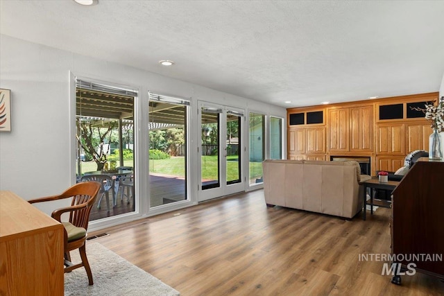 3752 Lancer Way, Boise, ID 83713 - living area featuring wood finished floors, recessed lighting, a fireplace, and a textured ceiling