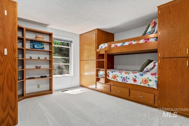 3752 Lancer Way, Boise, ID 83713 - bedroom with carpet and a textured ceiling