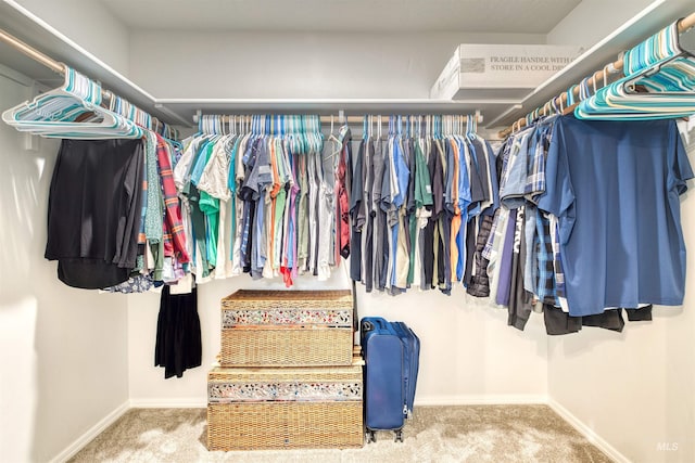 4913 Endicott Dr, Caldwell, ID 83605 - spacious closet featuring carpet floors