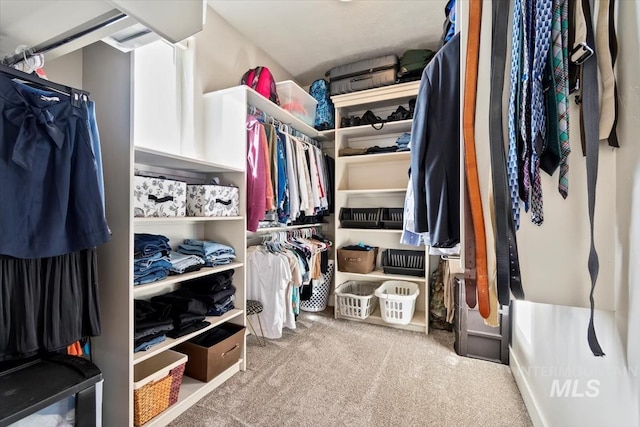 walk in closet with light carpet