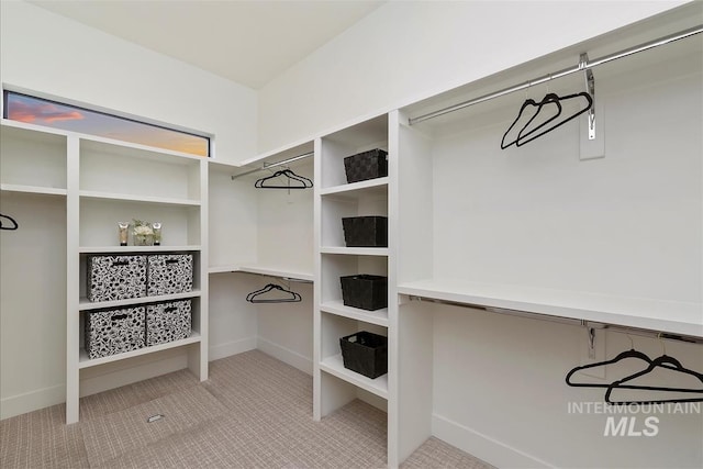 9891 W Napier Ct, Star, ID 83669 - walk in closet with carpet flooring