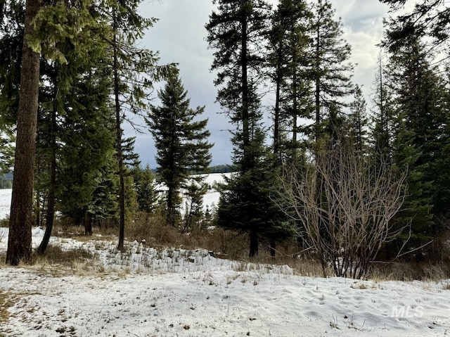 view of snowy landscape