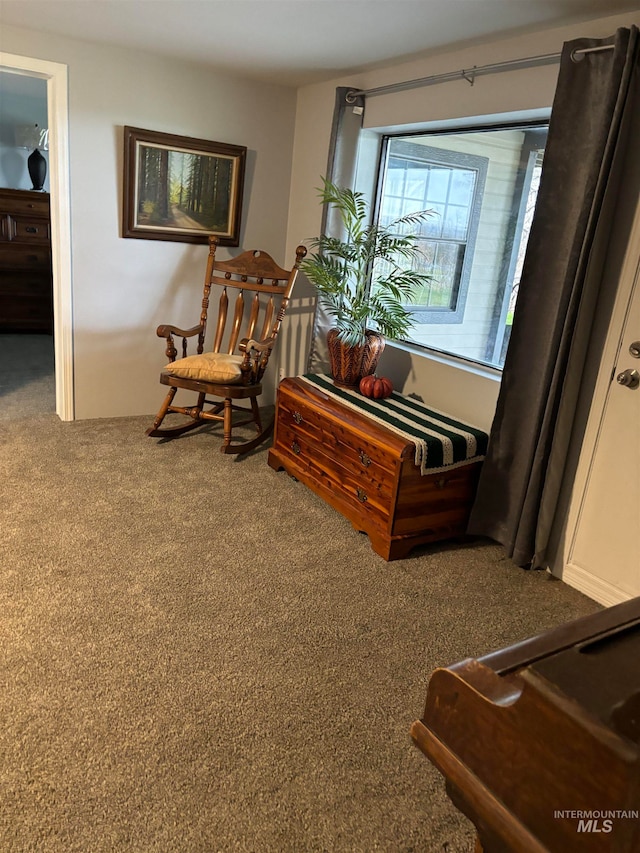 living area featuring carpet