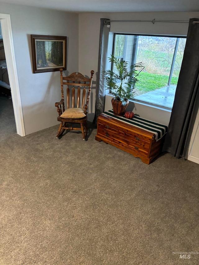 living area featuring carpet flooring