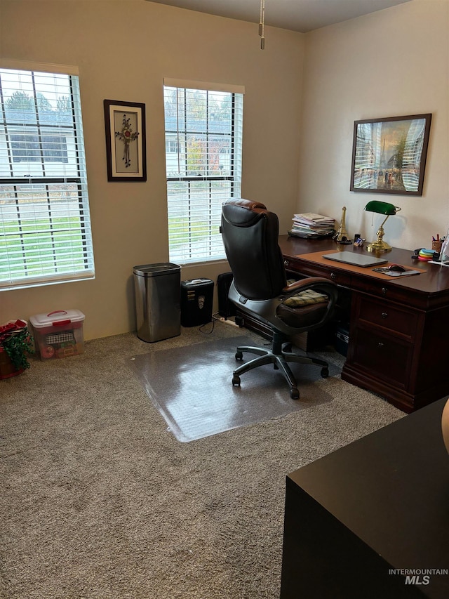 home office featuring carpet and a healthy amount of sunlight