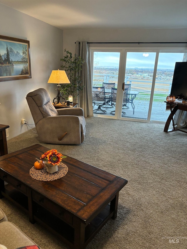 living room with carpet