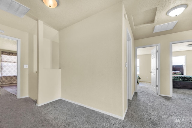 hall with plenty of natural light, carpet floors, and a textured ceiling