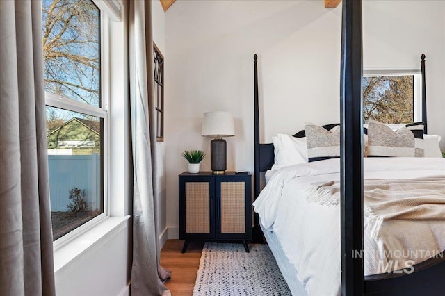 bedroom featuring multiple windows and dark hardwood / wood-style floors