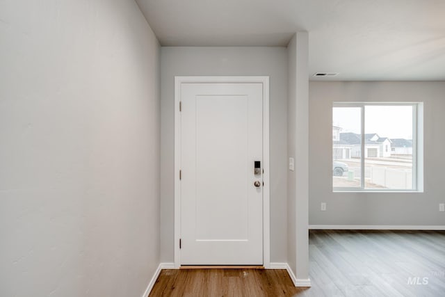 doorway featuring wood-type flooring