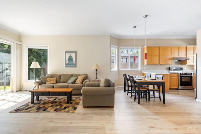 2072 N 28th St, Boise, ID 83702 - living area with light wood-type flooring, ornamental molding, and baseboards