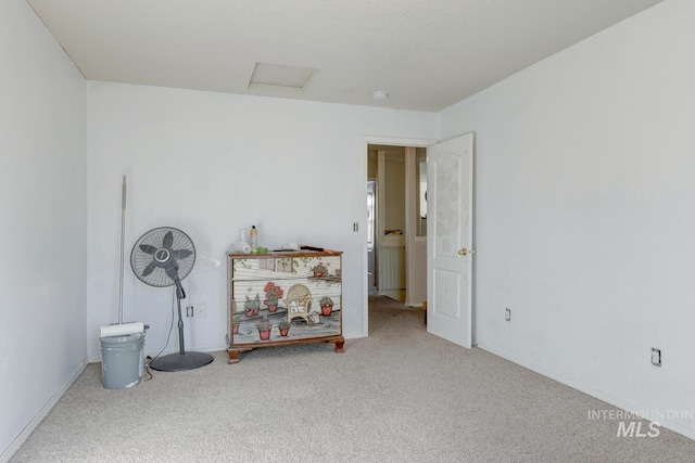 miscellaneous room featuring carpet