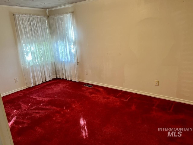 unfurnished room featuring ornamental molding and carpet