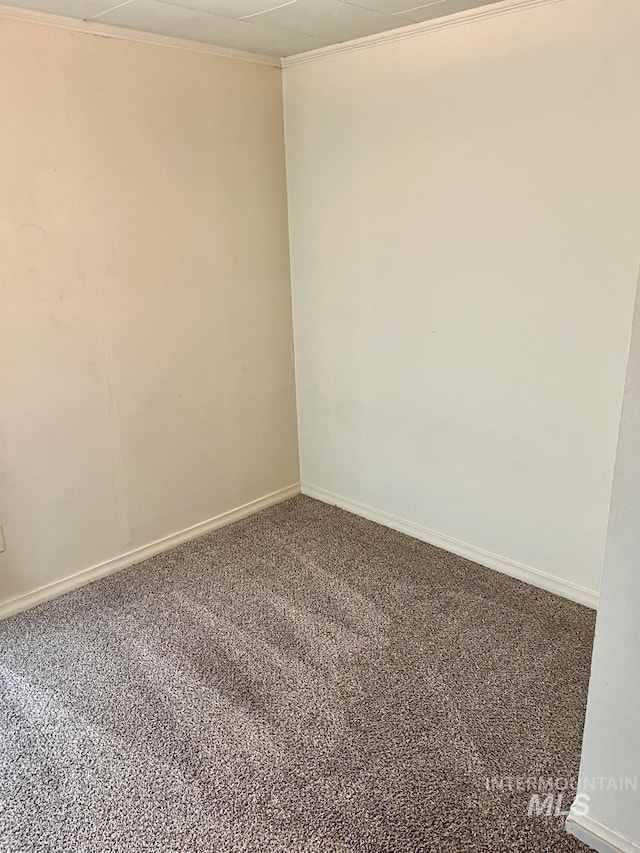 unfurnished room featuring carpet and crown molding