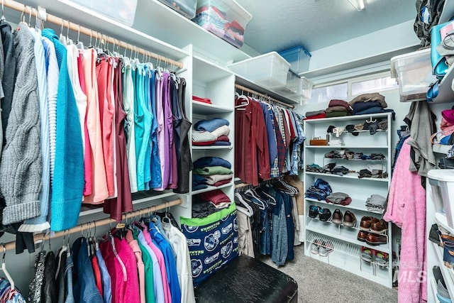 spacious closet featuring carpet floors