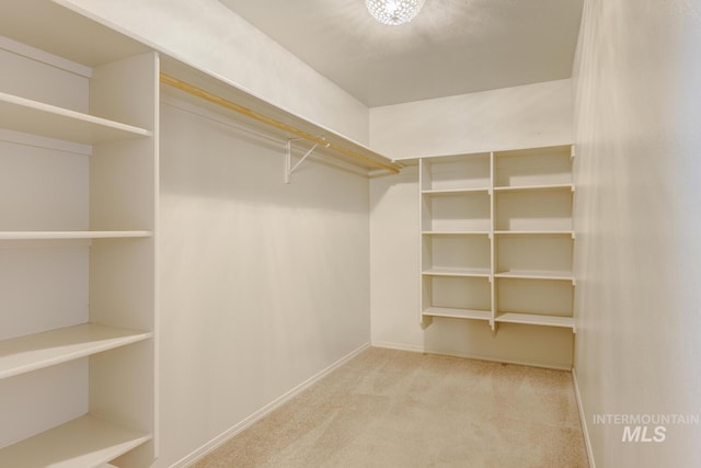4935 N Rathbone Ave, Meridian, ID 83646 - spacious closet with carpet flooring
