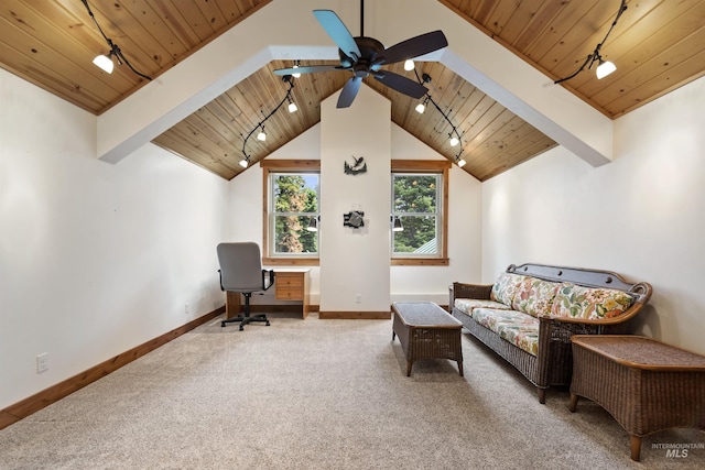 1649 Bear Trl, Donnelly, ID 83615 - carpeted home office featuring track lighting, wooden ceiling, and ceiling fan
