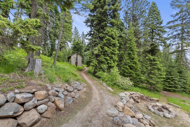 1649 Bear Trl, Donnelly, ID 83615 - view of yard with a storage unit and an outdoor fire pit