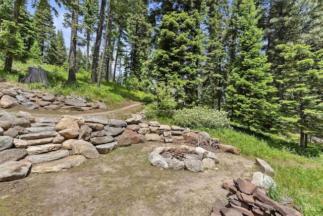 1649 Bear Trl, Donnelly, ID 83615 - view of yard