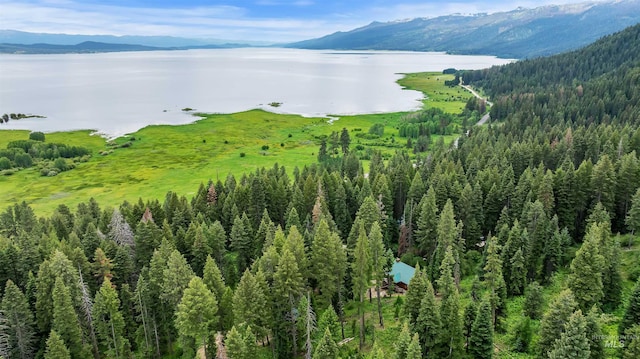 1649 Bear Trl, Donnelly, ID 83615 - view of mountain backdrop featuring a large body of water
