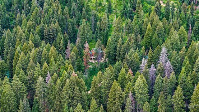 1649 Bear Trl, Donnelly, ID 83615 - aerial overview of property's location with a heavily wooded area