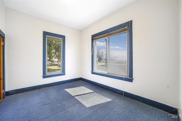 carpeted empty room featuring a wealth of natural light