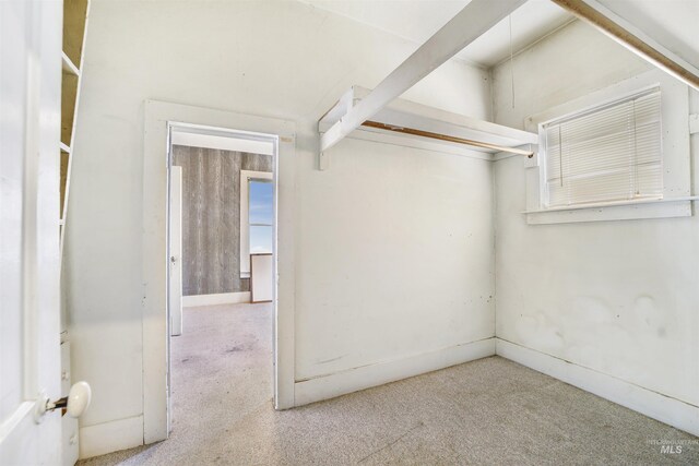 spacious closet with light carpet