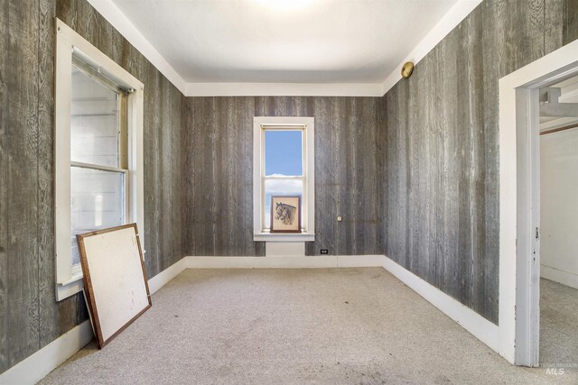 spare room with wood walls and carpet