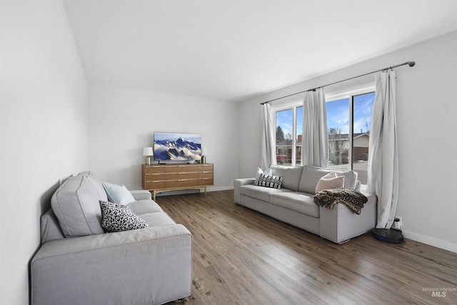 living room featuring wood-type flooring