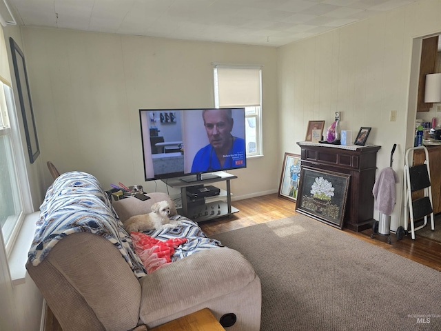 living area with wood finished floors