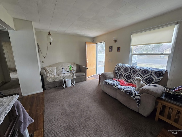 living room with wood finished floors