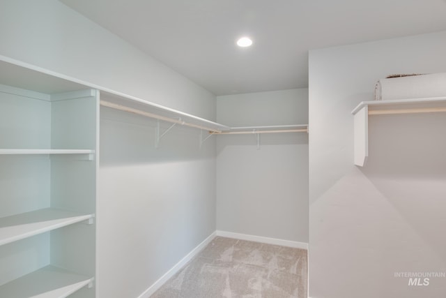 walk in closet featuring carpet floors