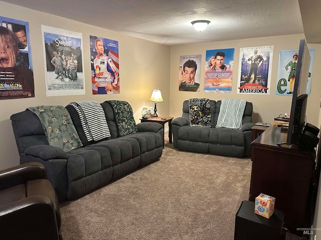 living room featuring a textured ceiling and carpet flooring