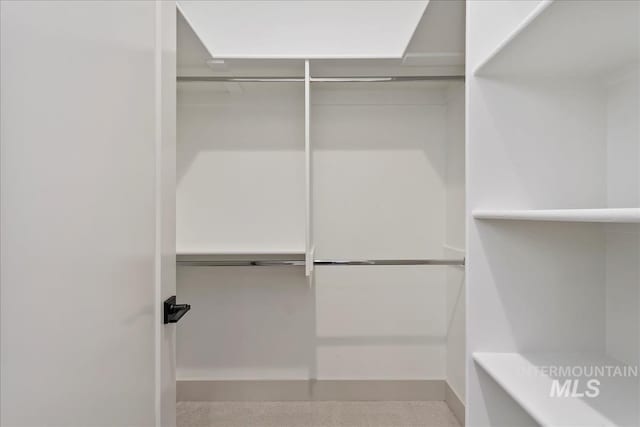 view of walk in closet