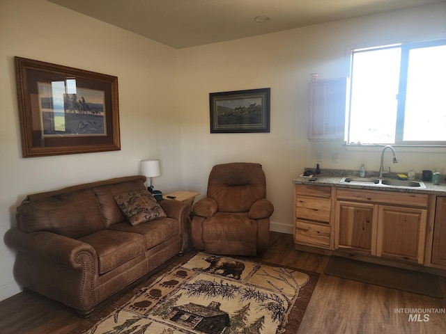 living room featuring dark wood-type flooring and sink