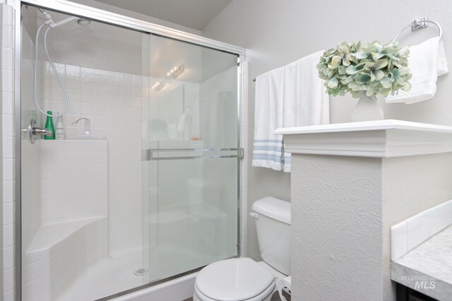 bathroom featuring vanity, toilet, and a shower with door