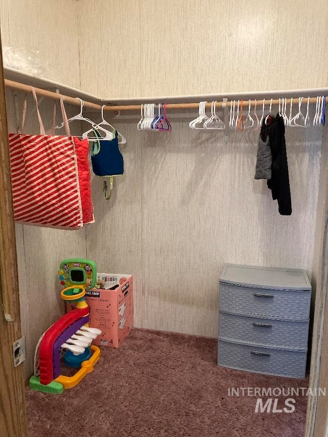 776 16th St, Vale, OR 97918 - walk in closet with carpet flooring