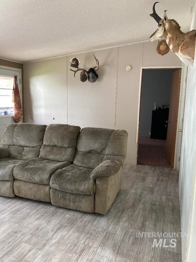 776 16th St, Vale, OR 97918 - living area featuring a textured ceiling and wood finished floors