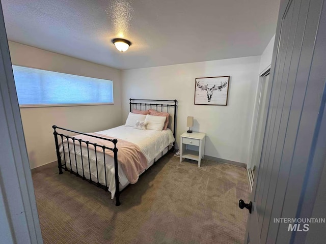 640 Roosevelt Ave, Grand View, ID 83624 - bedroom with a textured ceiling, baseboards, and carpet floors