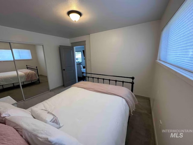 640 Roosevelt Ave, Grand View, ID 83624 - carpeted bedroom with baseboards, multiple windows, and a closet