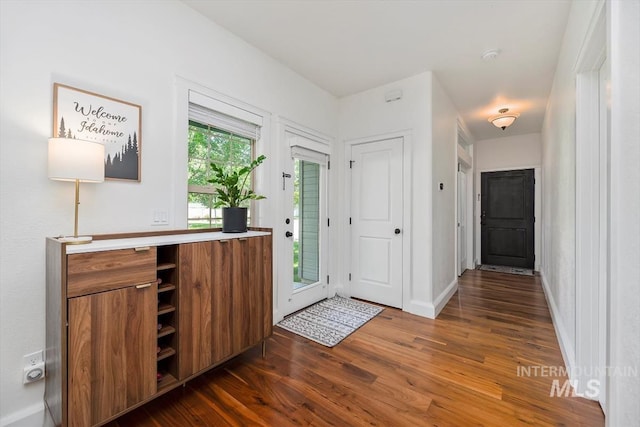 foyer with dark wood-type flooring