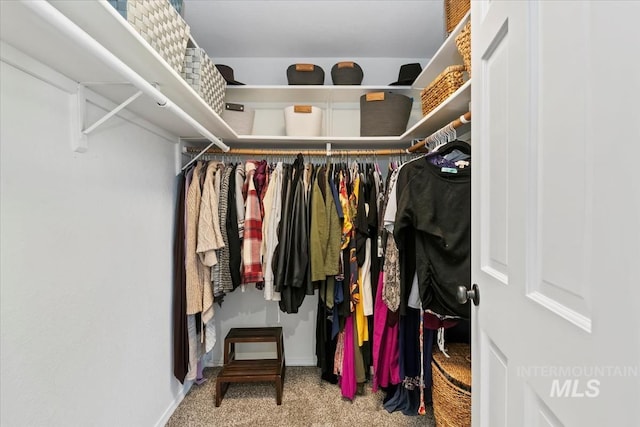walk in closet with carpet flooring