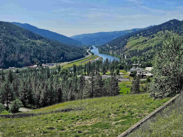 91 Shasta Cir, Orofino, ID 83544