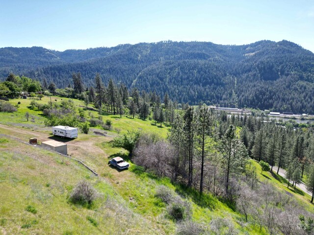 91 Shasta Cir, Orofino, ID 83544