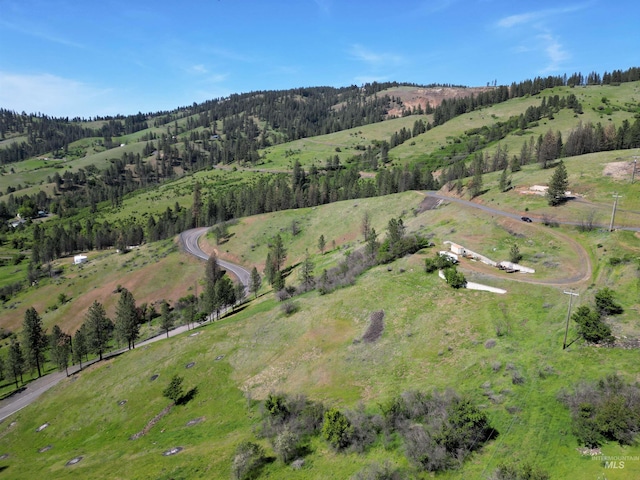 91 Shasta Cir, Orofino, ID 83544