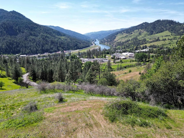 91 Shasta Cir, Orofino, ID 83544
