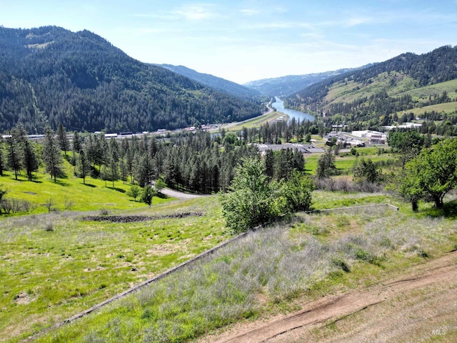 91 Shasta Cir, Orofino, ID 83544