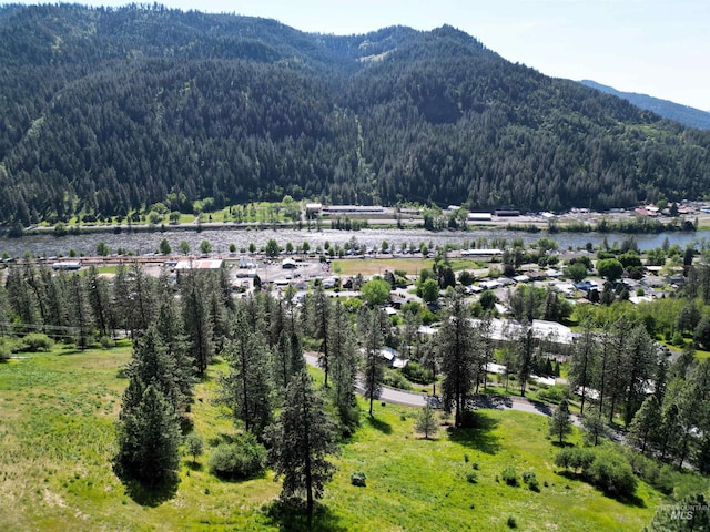 91 Shasta Cir, Orofino, ID 83544