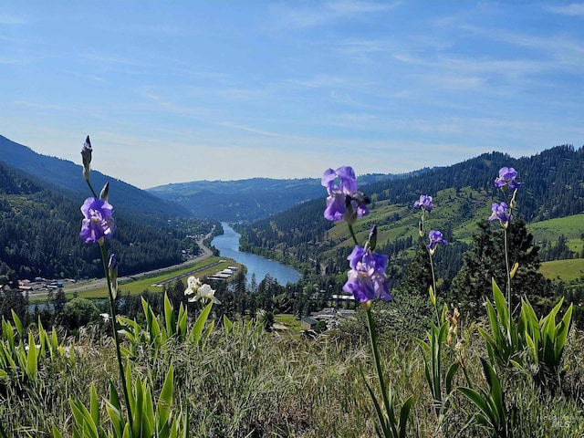 91 Shasta Cir, Orofino, ID 83544
